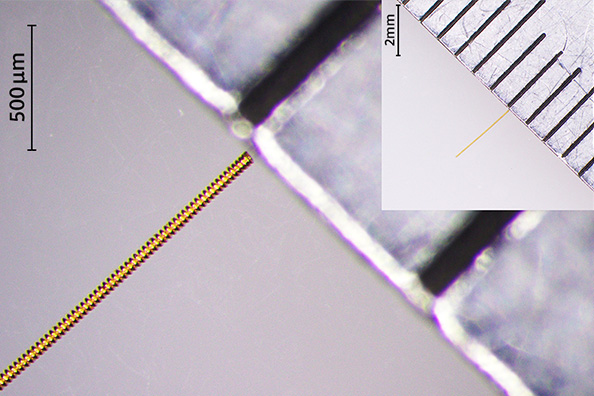 Springs for contact probes6